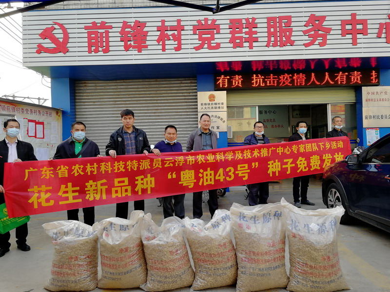 云浮市农业科学及技术推广中心在前锋村委派发优质花生种子 云浮市农业科学及技术推广中心在前锋村委派发优质花生种子