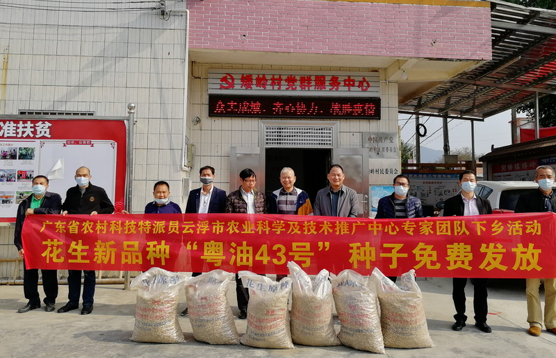 云浮市农业科学及技术推广中心在矮岭村委派发优质花生种子 云浮市农业科学及技术推广中心在矮岭村委派发优质花生种子
