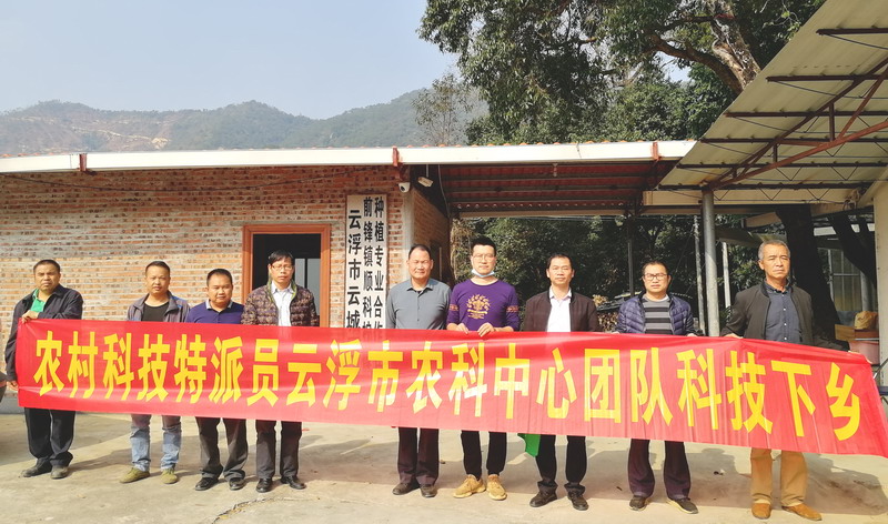 科技特派员团队在前锋镇柠檬专业合作社指导 科技特派员团队在前锋镇柠檬专业合作社指导